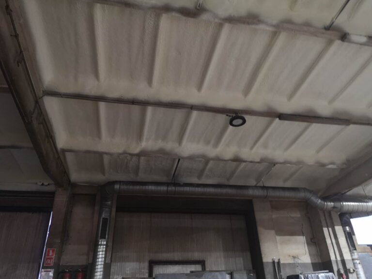 334521807_605721724778850_19300217049651936_n