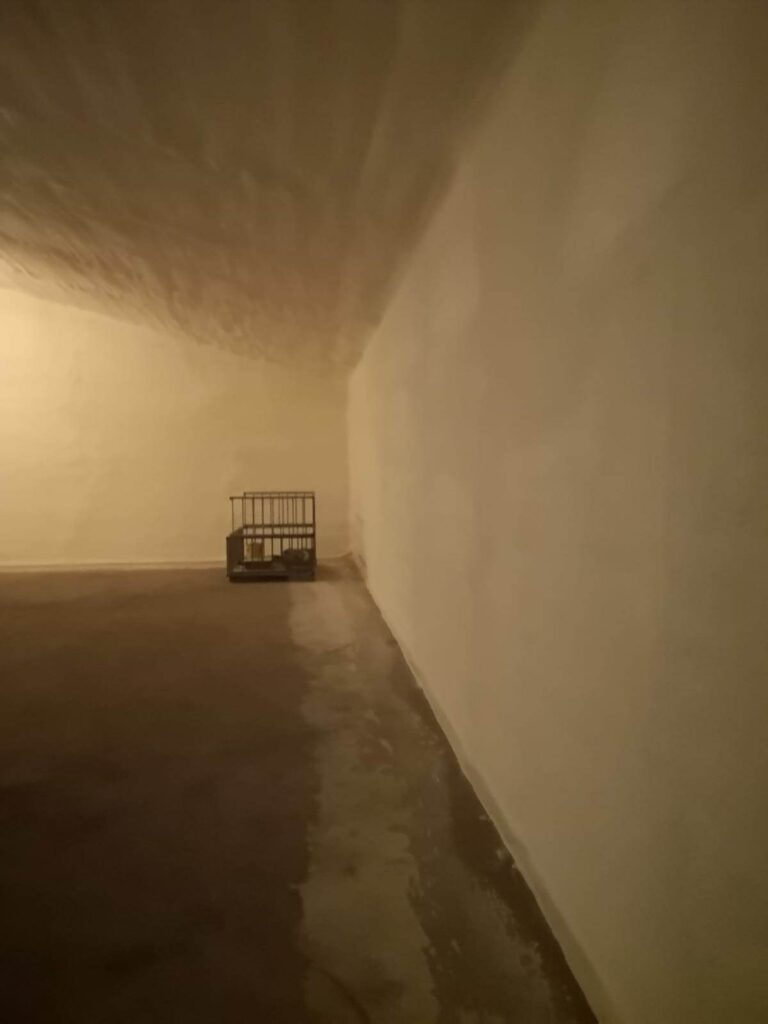 334613936_3462822874039694_17136124730817065_n