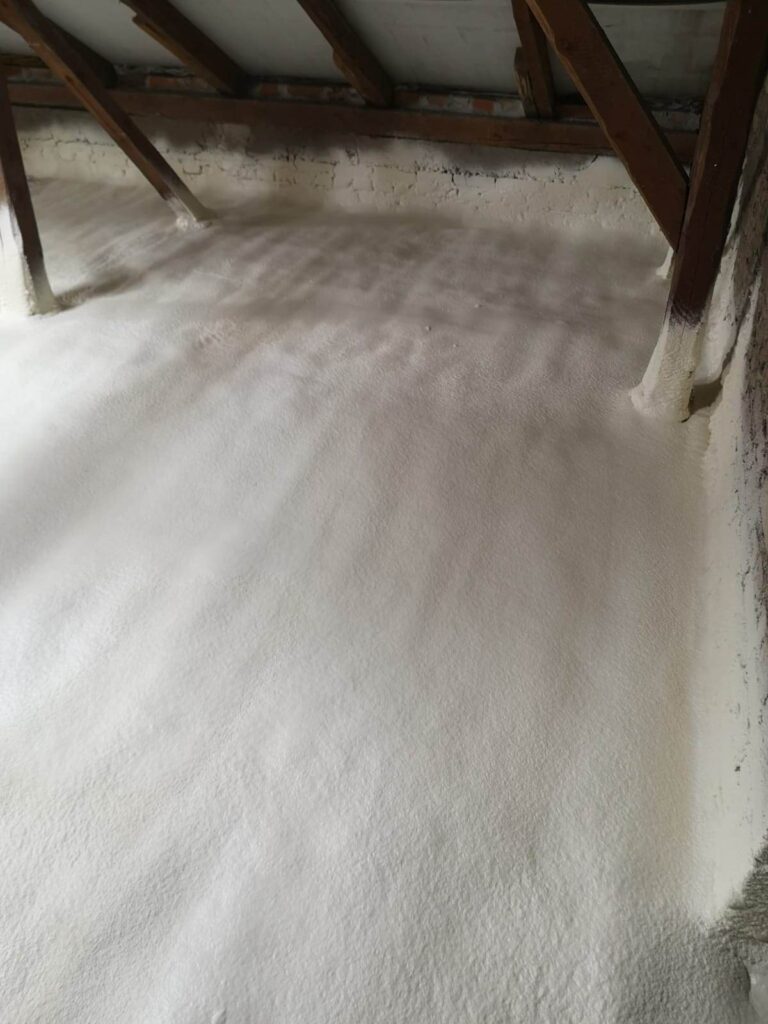 336402528_205233938814135_3734432993532447254_n