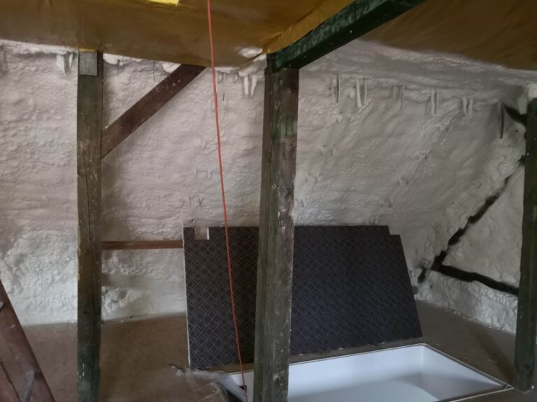 337084550_1337473526816366_2258104721730822810_n