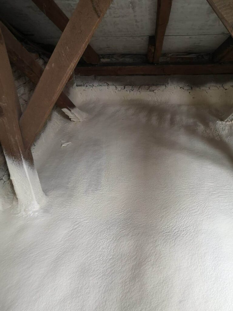 337306460_771021300940203_4422715673565753922_n